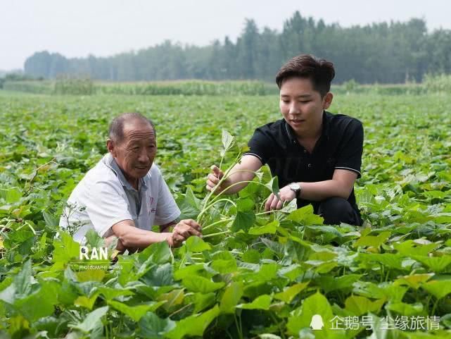 菏澤一個返鄉(xiāng)大學(xué)生創(chuàng)業(yè)的第 一步，種植的500畝地瓜豐收了