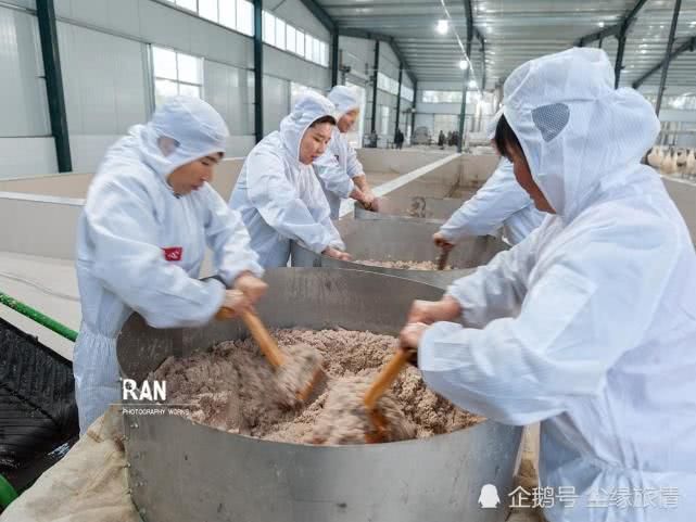 菏澤一個返鄉(xiāng)大學(xué)生創(chuàng)業(yè)的第 一步，種植的500畝地瓜豐收了